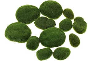 Live Moss Balls for Aquarium Decoration: Healing Gardens for Your Finned Friends