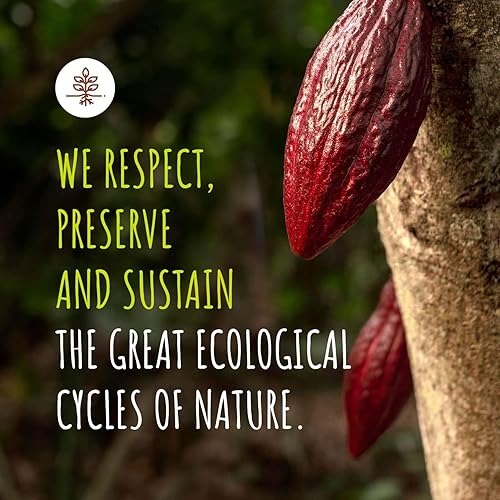 Vista 39 de Naturanic Bocadillo de plátano liofilizado cubierto de chocolate negro brasileño, sin gluten, sin azúcar, todo natural, orgánico, vegano, paquete