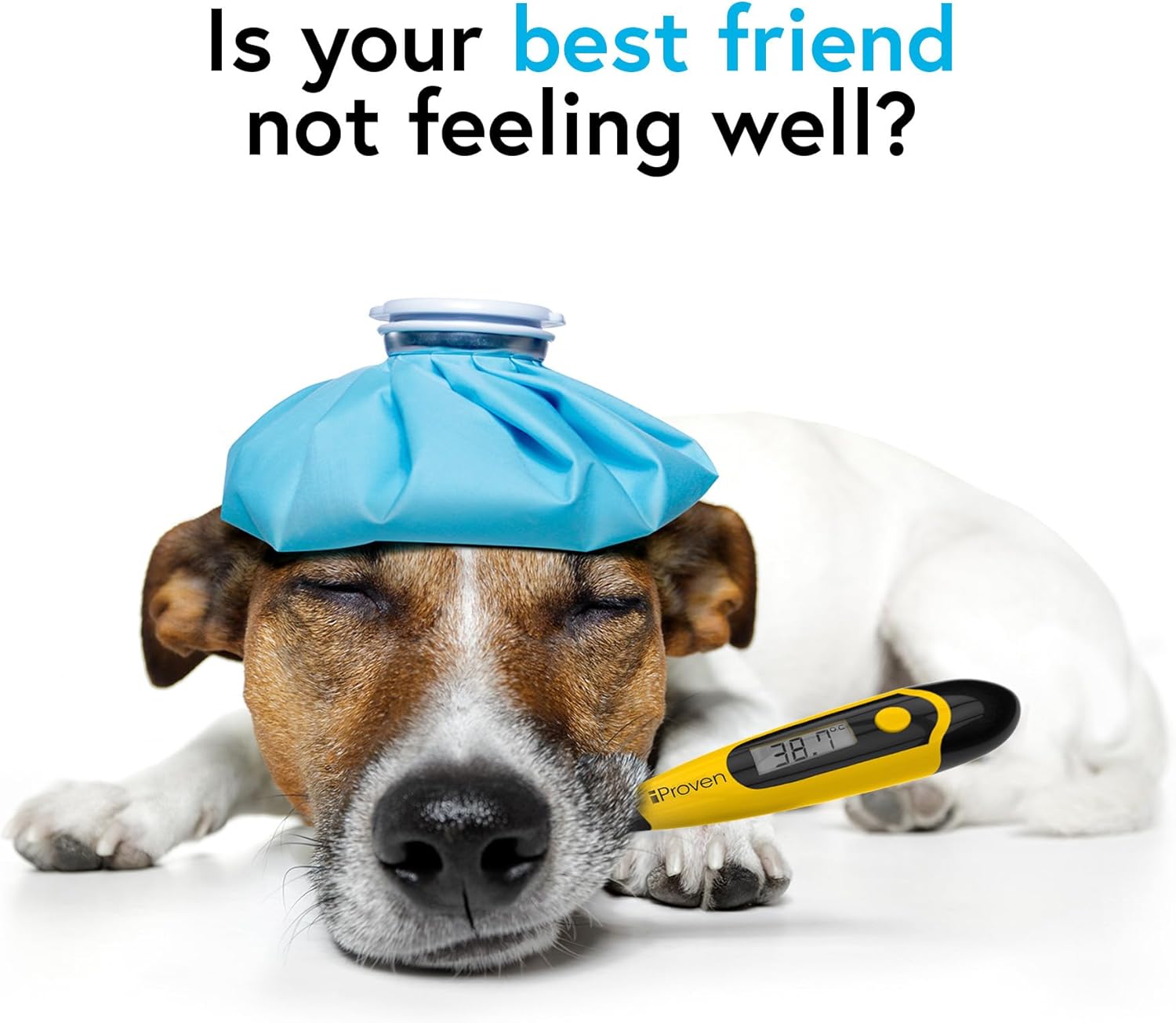 iPn Dog & Cat Thermometer for Accurate Fever Detect, fortable