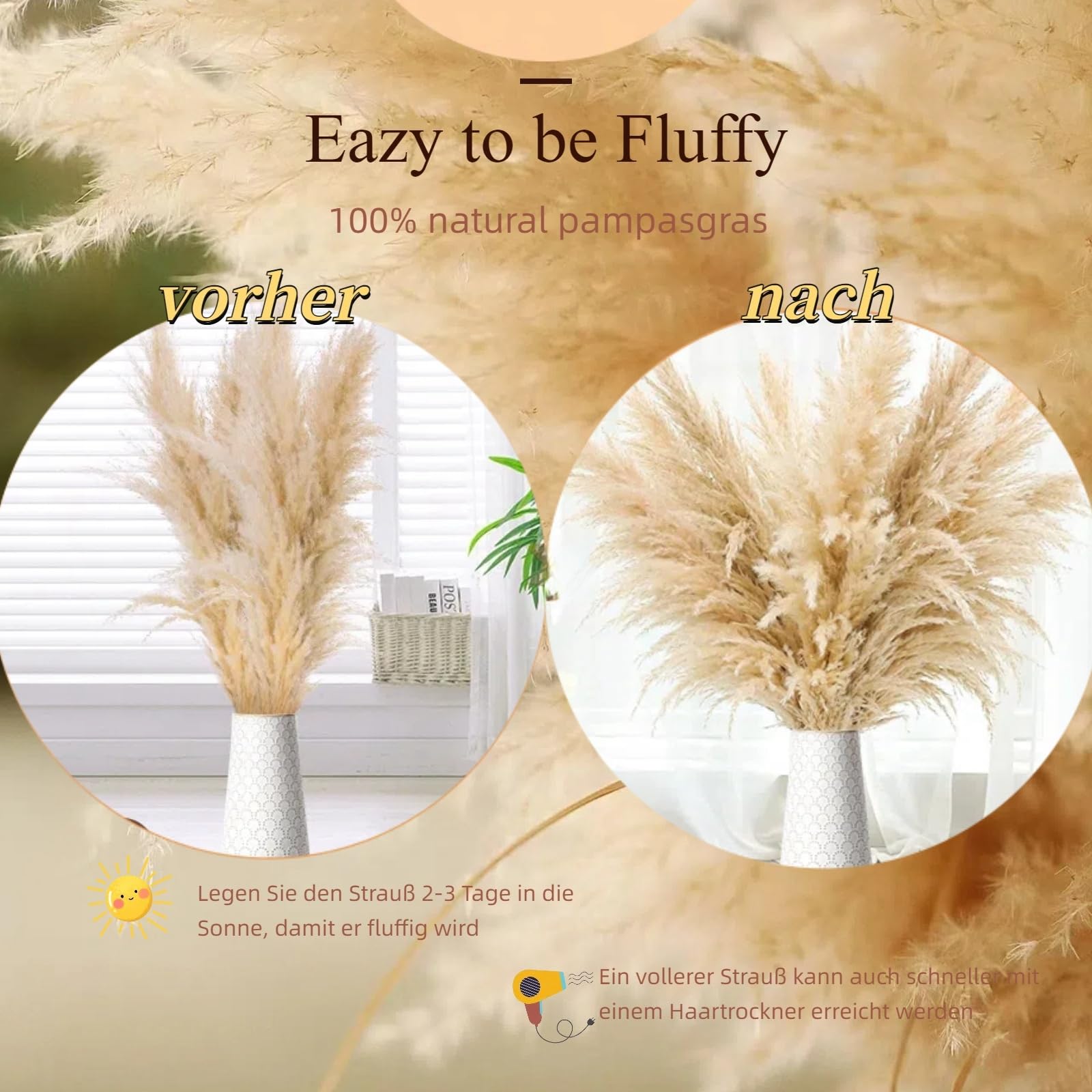 10 stuks in de VS gekweekt pampagras: 2-4 ft boho 10 stuks in de VS gekweekt pampagras: 2-4 ft boho