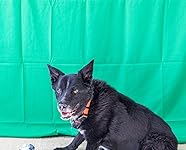 Review Image by Chris Locke Chris Locke