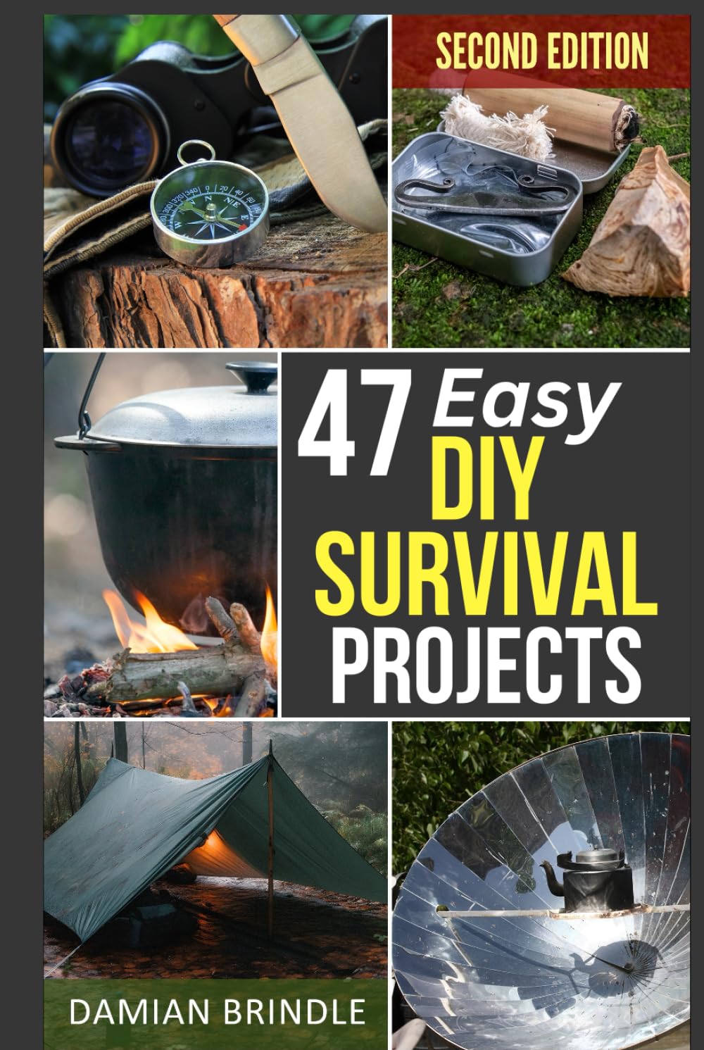 47 Easy DIY Survival Projects: How to Quickly Get Your Family Prepared for Emergencies in Only Ten Minutes a Day (The Survival Collection)
