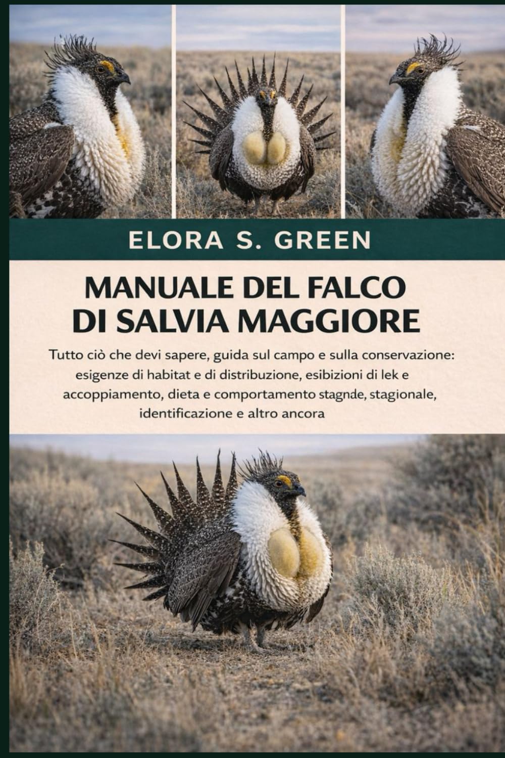 MANUALE DEL FALCO DI SALVIA MAGGIORE: Tutto ciò che devi sapere, guida sul campo e sulla conservazione: esigenze di habitat e di distribuzione, ... stagionale, identificazione e altro ancora