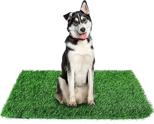 Miniatura 10 de GLOBREEN Almohadilla de Césped Falso para Perros Potty, 19" x 29" Almohadillas de Césped Artificial para Mascotas Cachorros, Gruesas y de Alto