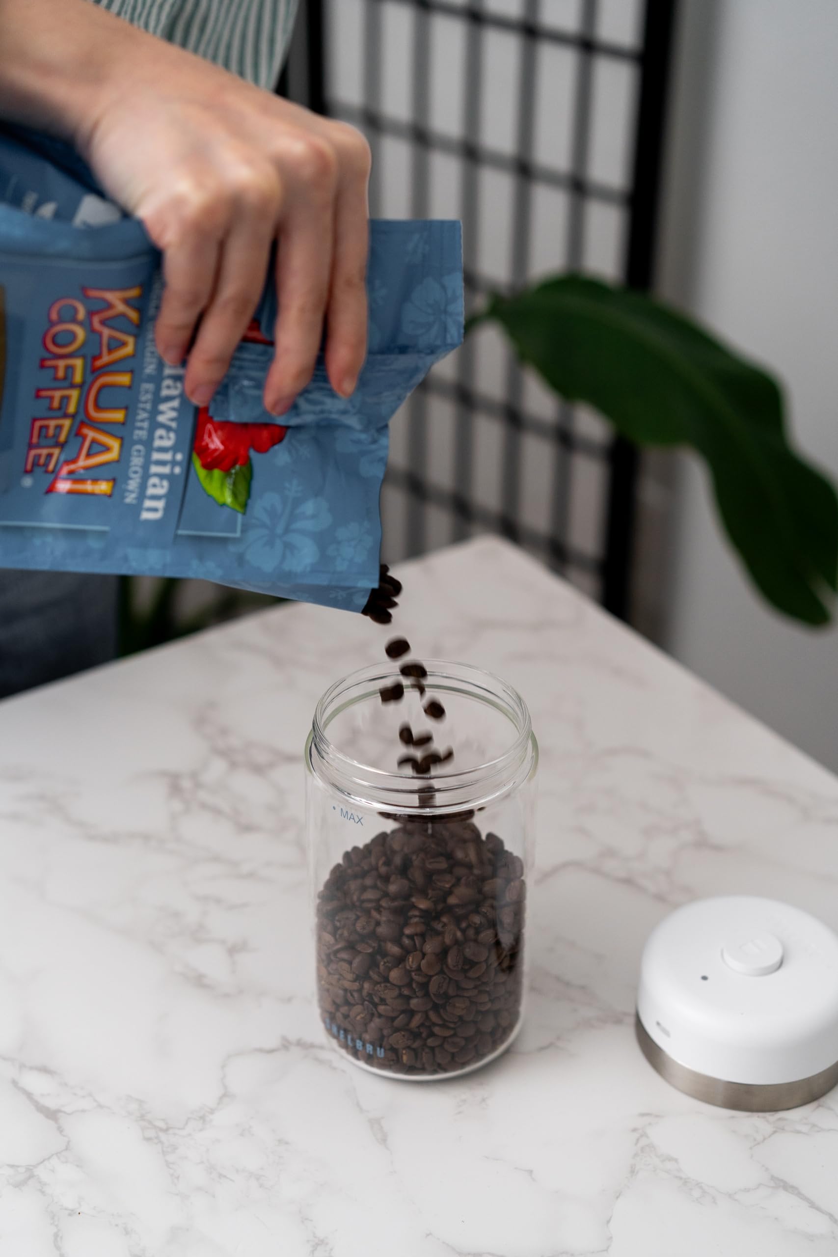 Amazon｜Shelbru スマートコーヒー容器&食品ストレージ 電気真空シール