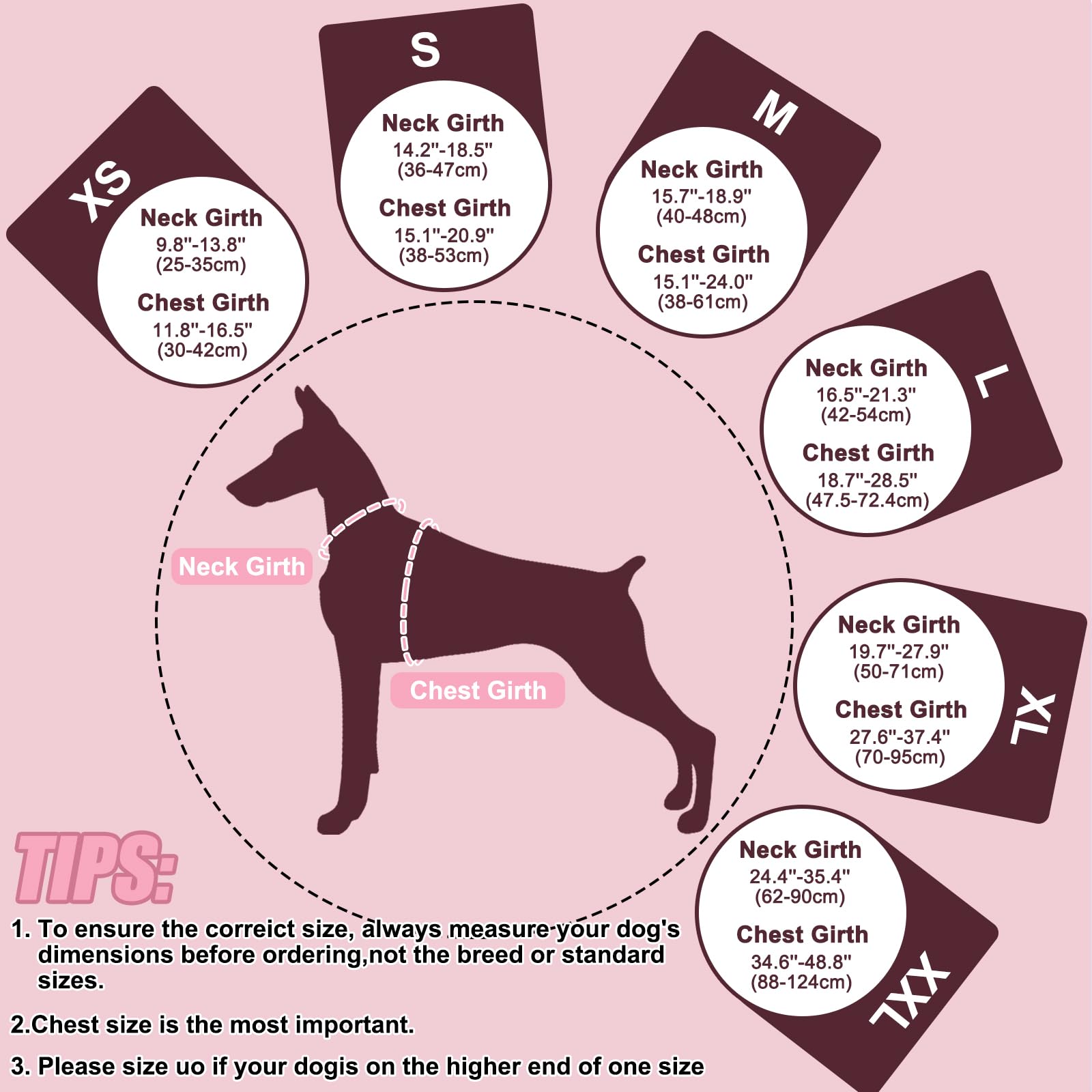 View 5
