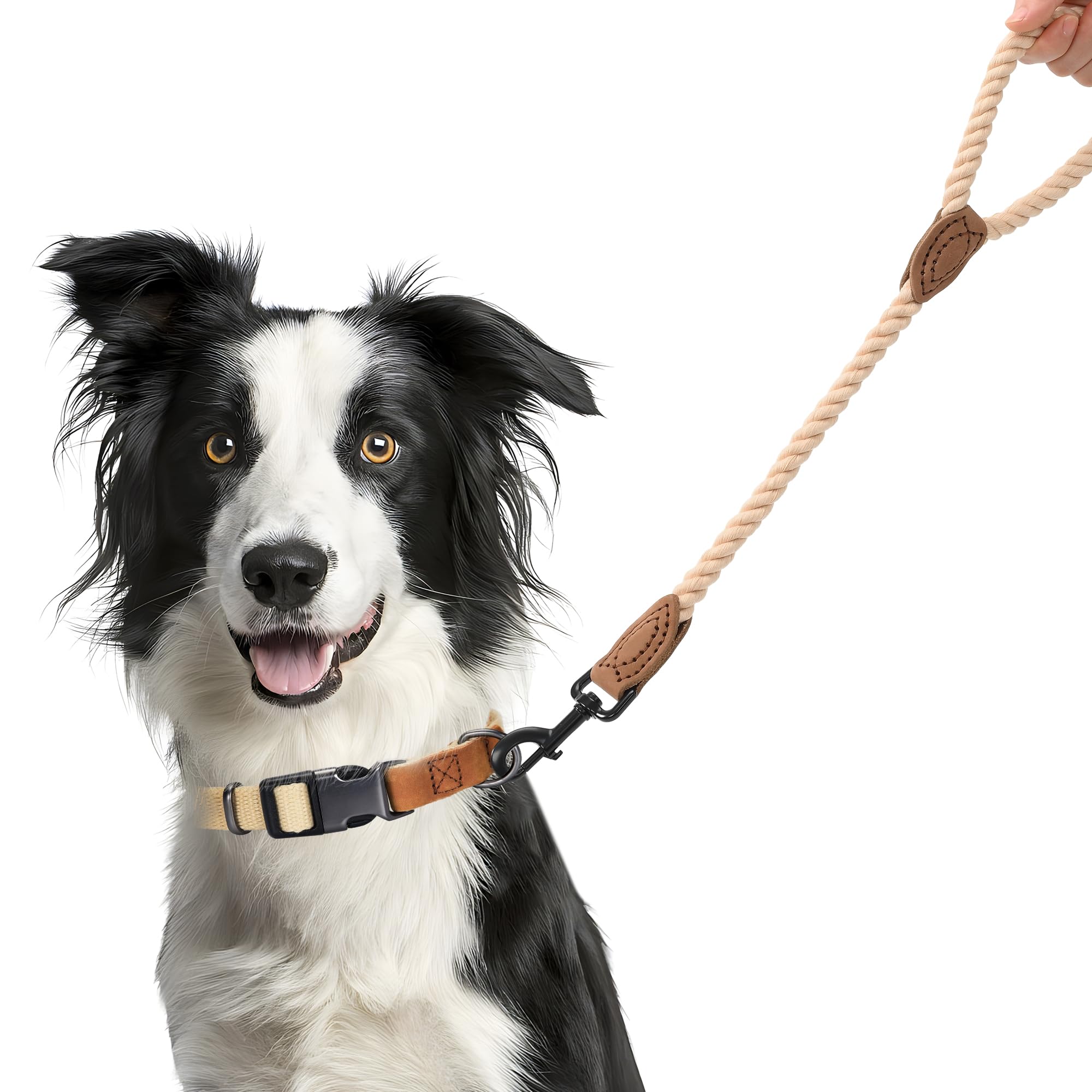 Mile High Life Short Dog Leash Braided Cotton Rope Dog Leashes