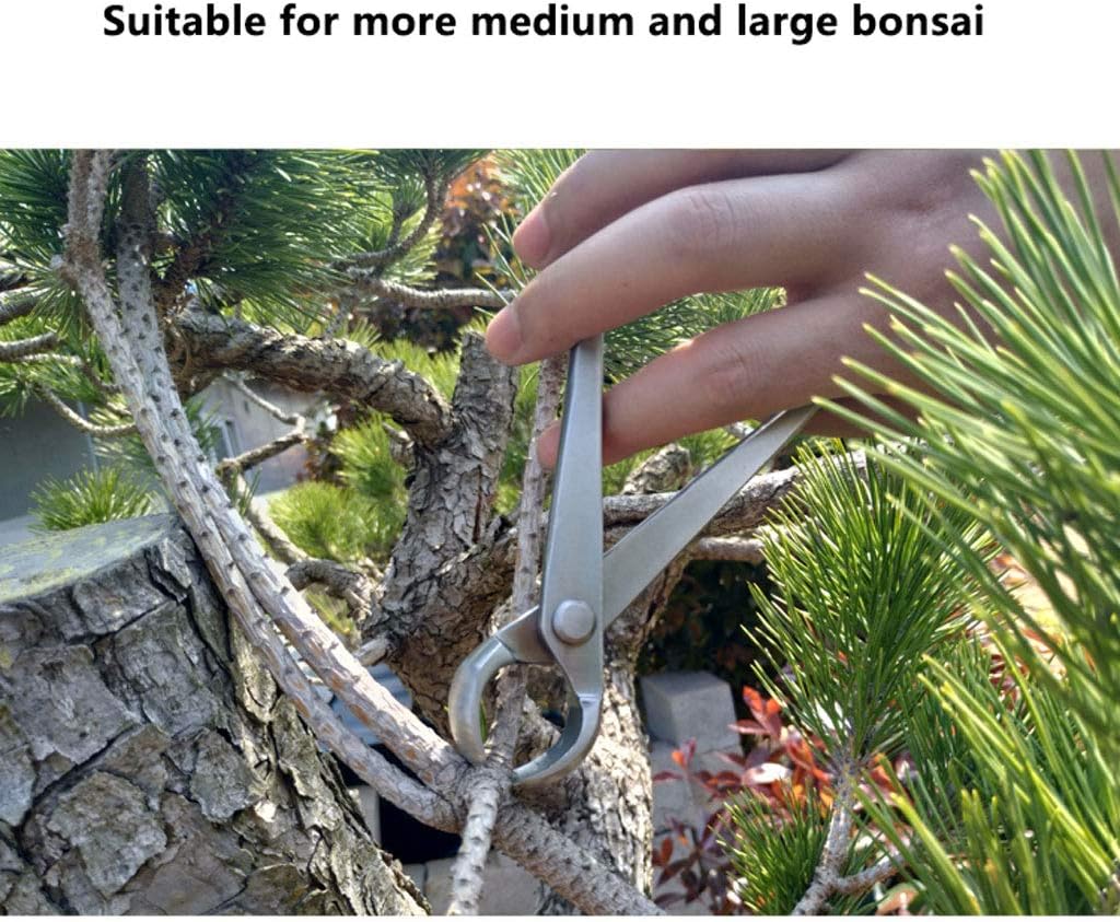 Concave Cutter Bonsai Cutter - Stainless Steel Round Edge Knob Cutter Gardening Tool Hand Forged Bonsai Concave Branch Cutter 8.2 inch