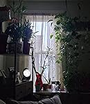 Review Image by Jojo