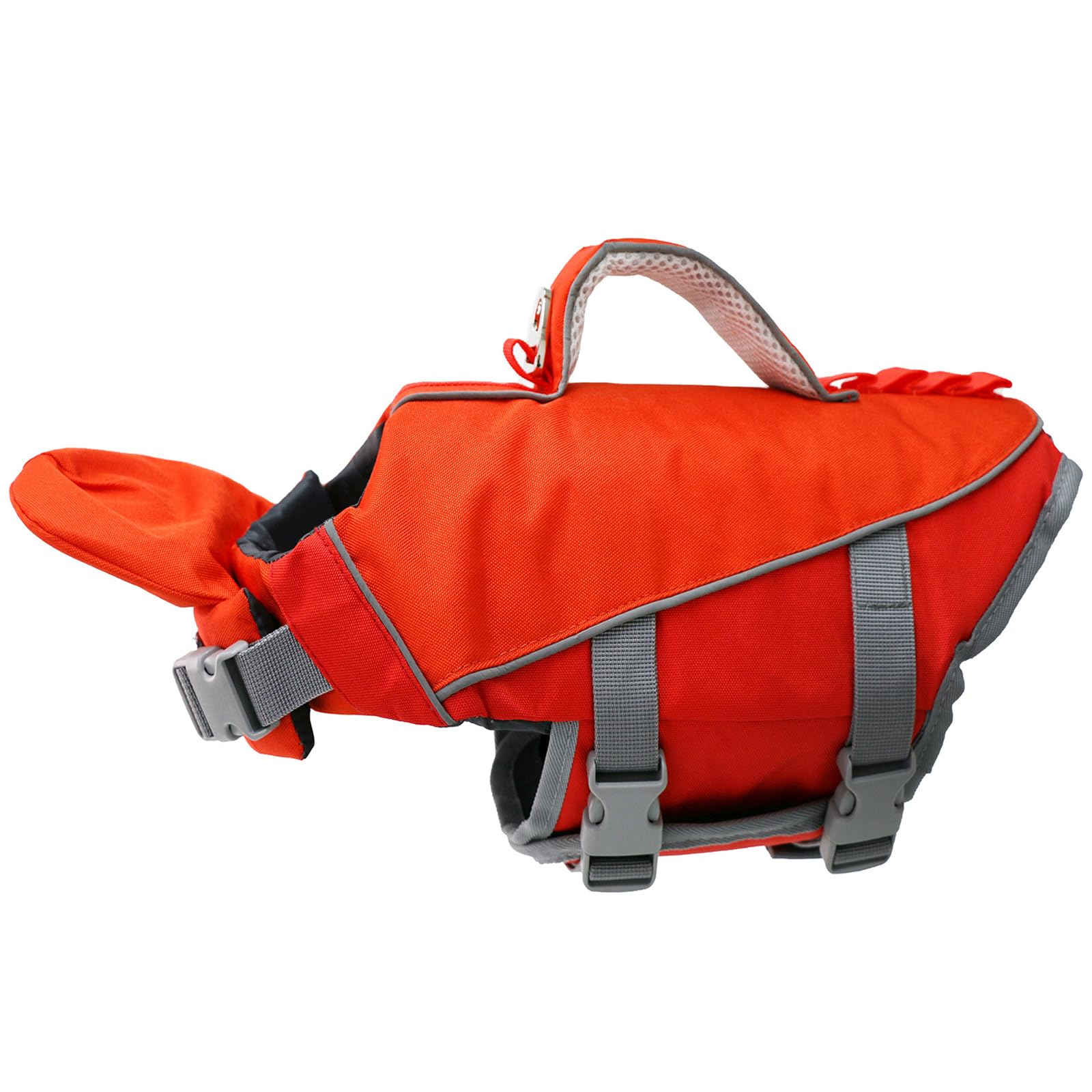 Maillot de bain pour chien idéal pour le bateau et les sorties aquatiques en famille