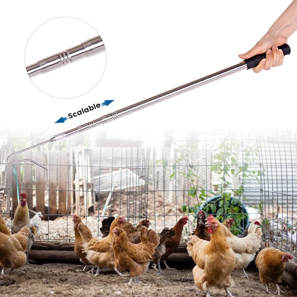 パピーチキン15キロ DRS.CHOICE ドクターズチョイス パピー 子犬用 15kg