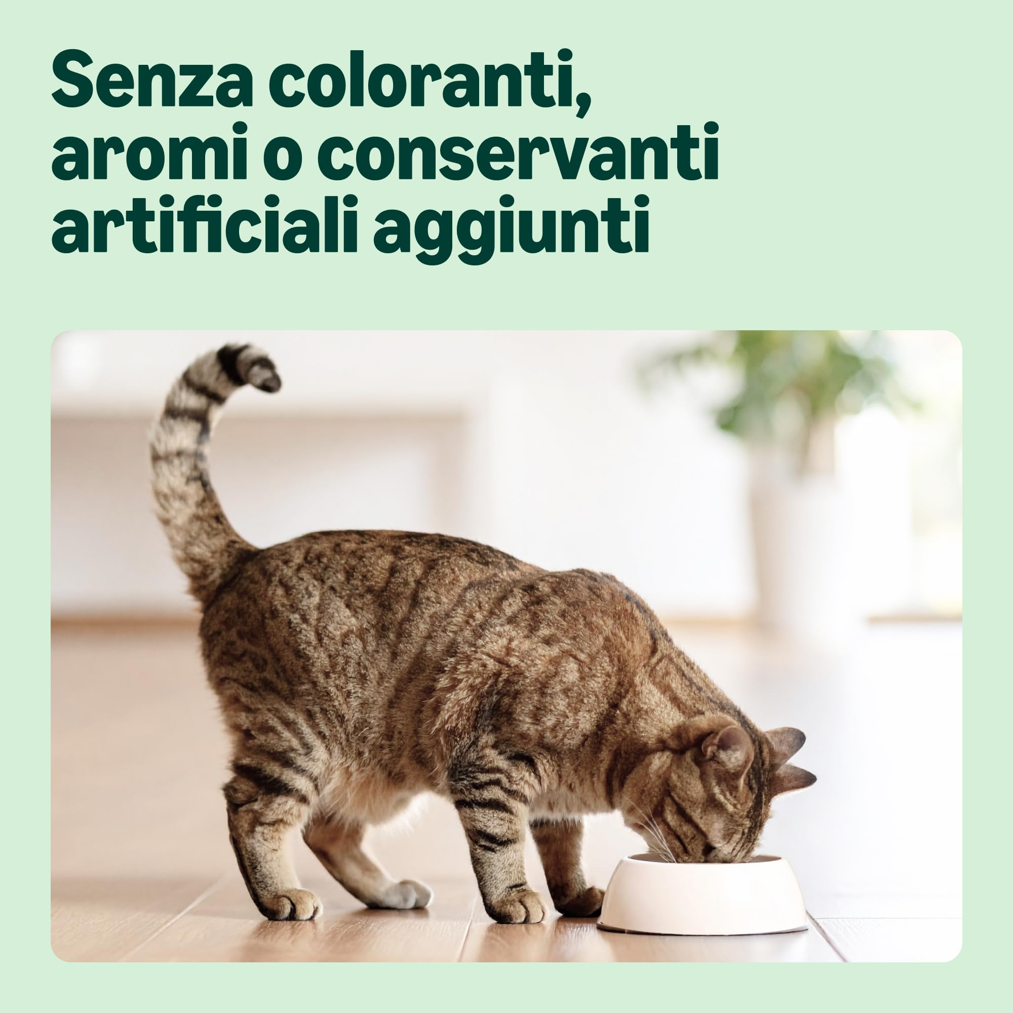 by Amazon - Alimento secco completo per gatti adulti con pollo, tacchino e verdure, 1 confezione da 3 kg