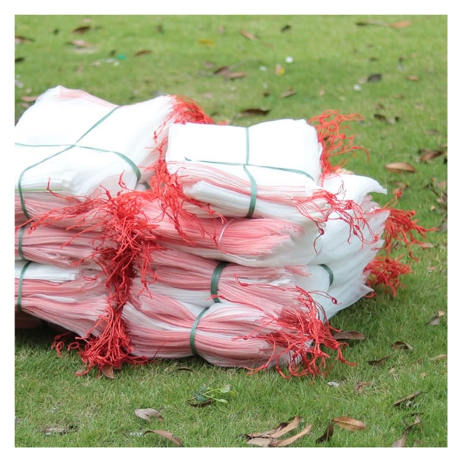 Bolsas Protectoras contra Insectos para Uvas, Bolsas de Malla for Frutas, Verduras y Uvas (50 Unidades, 15 x 10 cm - 35 25 cm)(25x15cm)