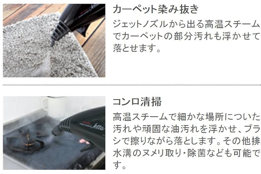 Amazon | APIX ハンディスチームクリーナー ブラック ACS-202-BK