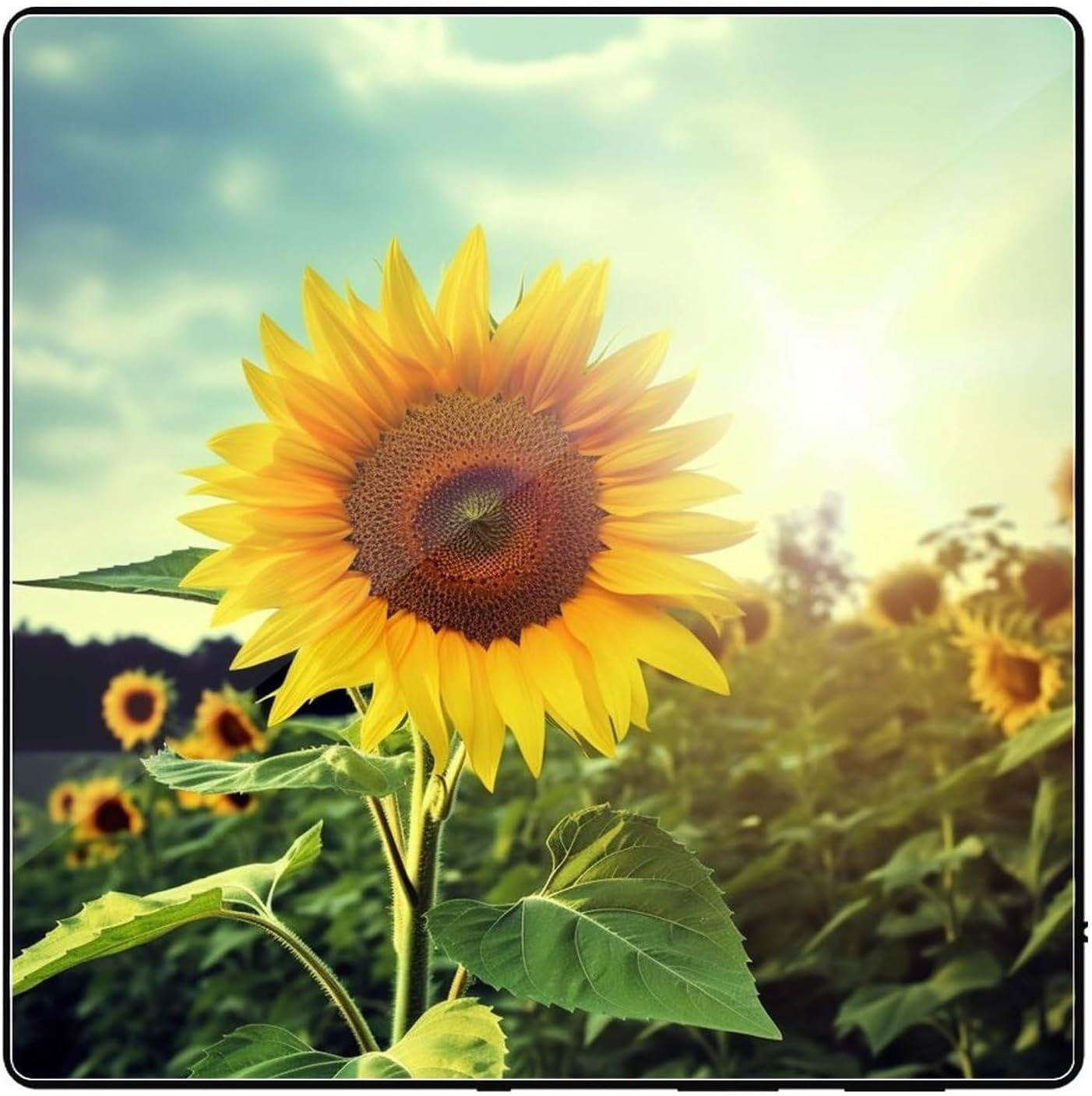 Beautiful Sunflower Music Refrigerator Sticker