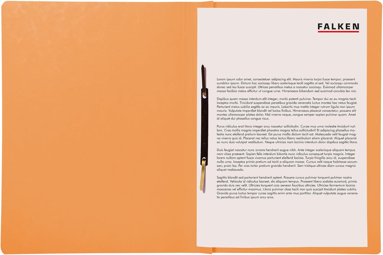 Exacompta - Ref 80003791002F - FALKEN - Flat Cardboard Files - A4 (210 x 297mm) in Size, 250gsm Recycled Manilla, Pre-Printed Cover, Blue Angel Certified - Orange (Pack of 100)