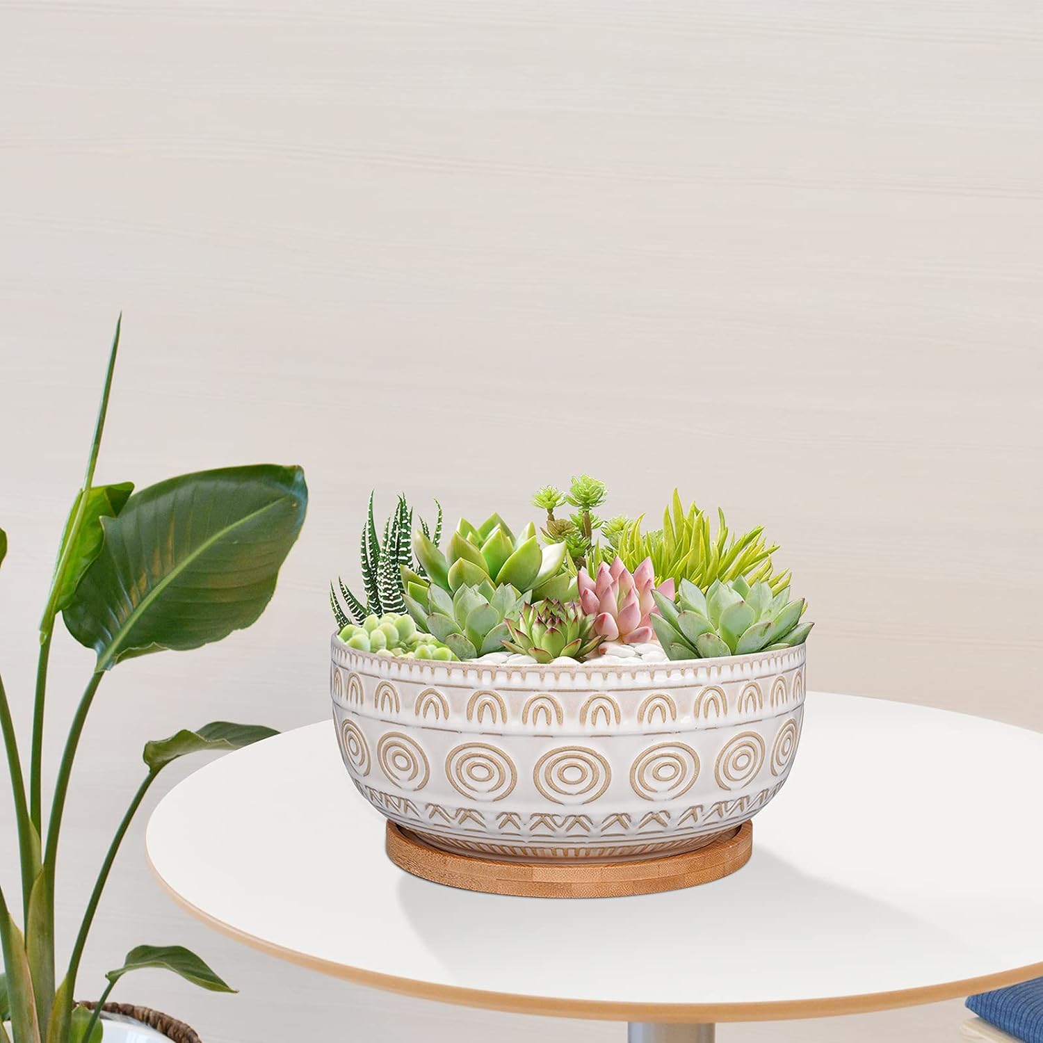 Elegant 8-Inch White Succulent Planter with Drainage and Saucer