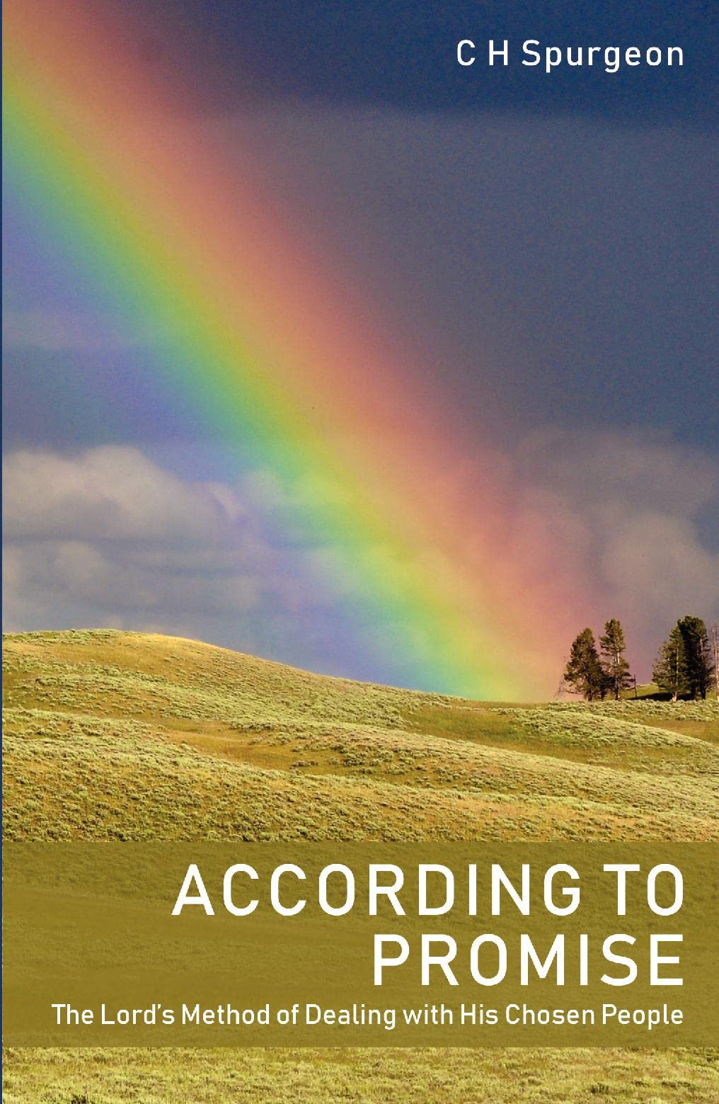According to Promise: The Lord's Method of Dealing with His Chosen People