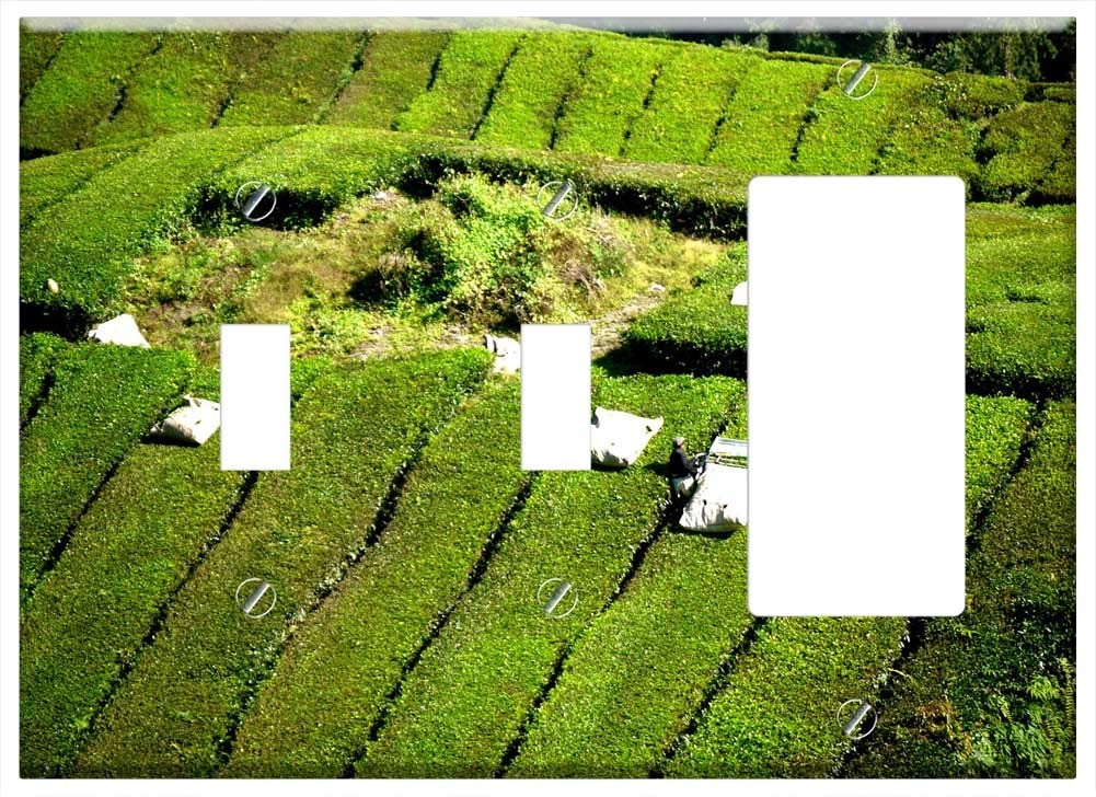 3-Gang 2-Toggle 1-Rocker/GFCI Combination Wall Plate Cover - Tea Plantation Tea Farm Tea Cameron Highlands 1