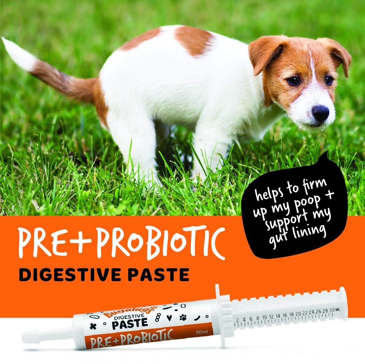 BUGALUGS Dog Probiotic Digestive Paste for Dog & Cat, Gut Health - Image 2