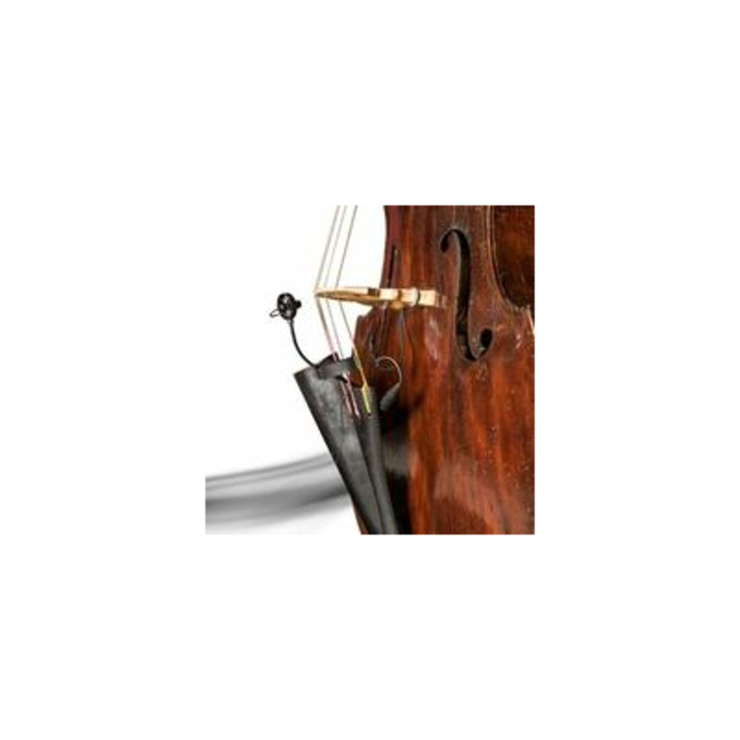 Prodipe BL21 - Microfono per contrabbasso