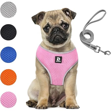 pug dog harness
