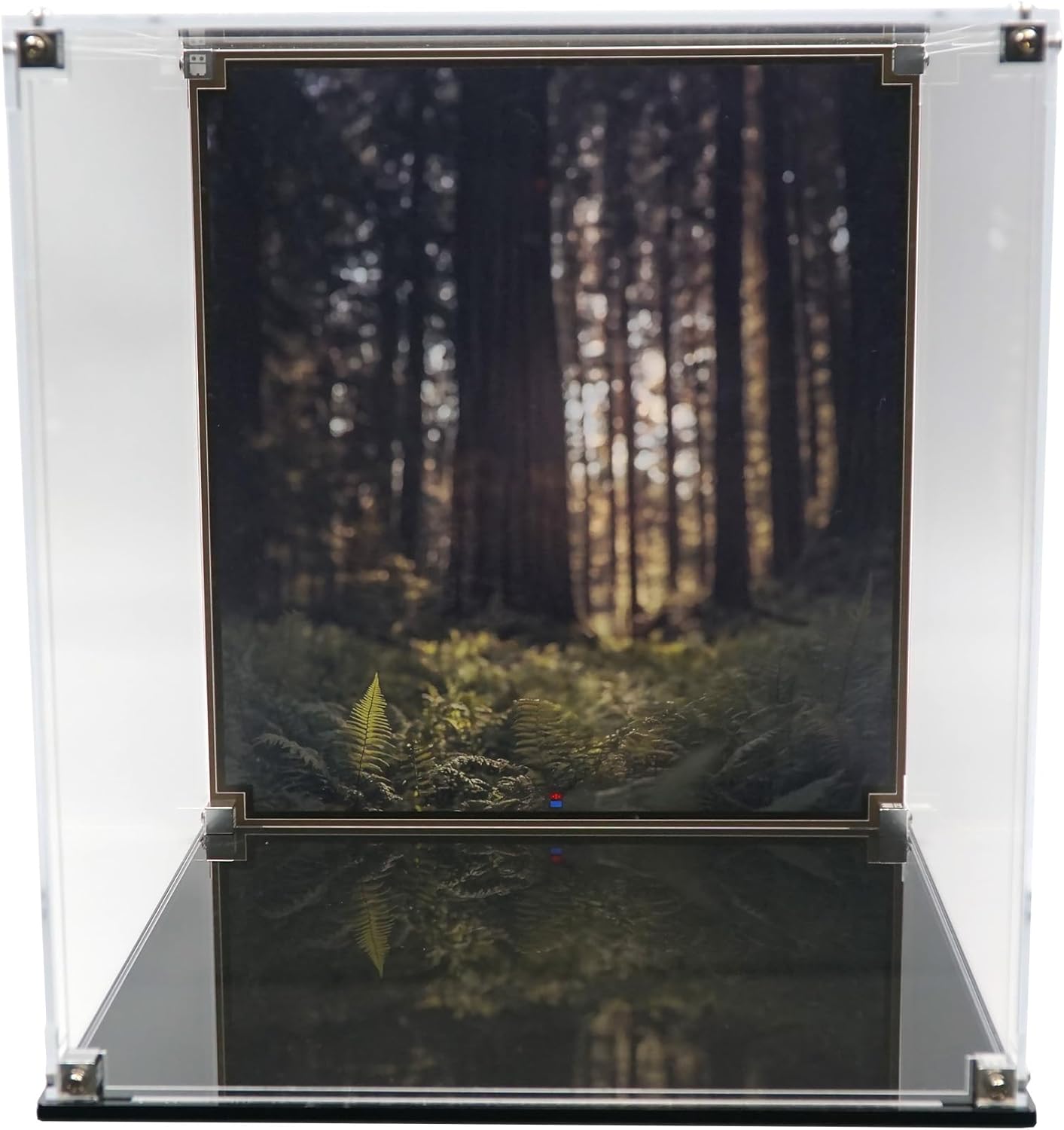 Acrylic Display Case Compatible with Lego Set 75430 - Wicket The Ewok - Set not Included