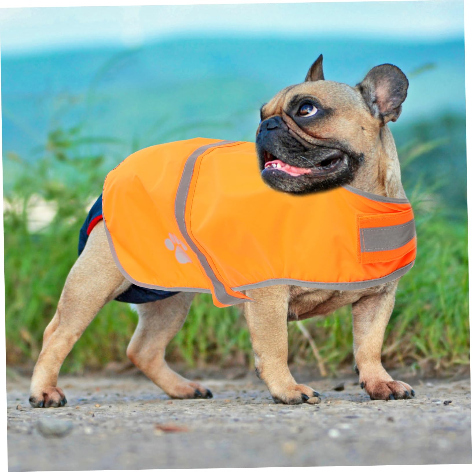 Sosoport 5stücke Hundeweste Reflektierend Fluoreszierende Warnweste Für Hunde Verstellbar Aus Atmungsaktivem Oxford Outdoor-aktivitäten Sicheres Und Stylisches Hundezubehör