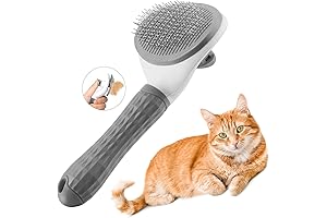 Cat Brush Push Button: Effortless Grooming for Feline Friends