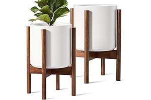 LE TAUCI Ceramic Plant Pot with Wood Stand