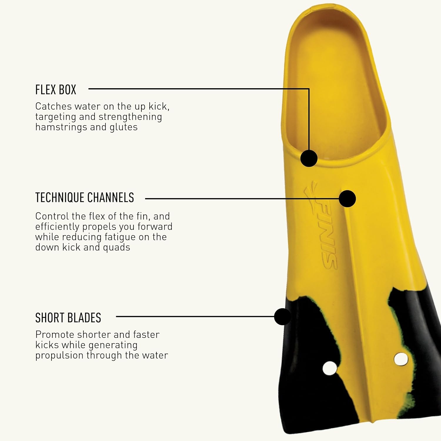 Finis Z2 Gold Zoomers Swim Fins - Short Blade Training Fins for Strength & Speed - Natural Rubber Fit