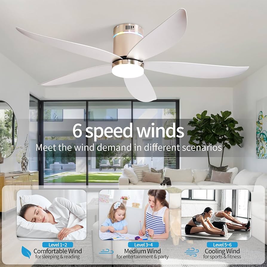 A.H.P.L BONFEUR & TWO FACE 2017 No.5 オバケ GlowShift | Black 7 Color Dual Digital Wideband Air/Fuel