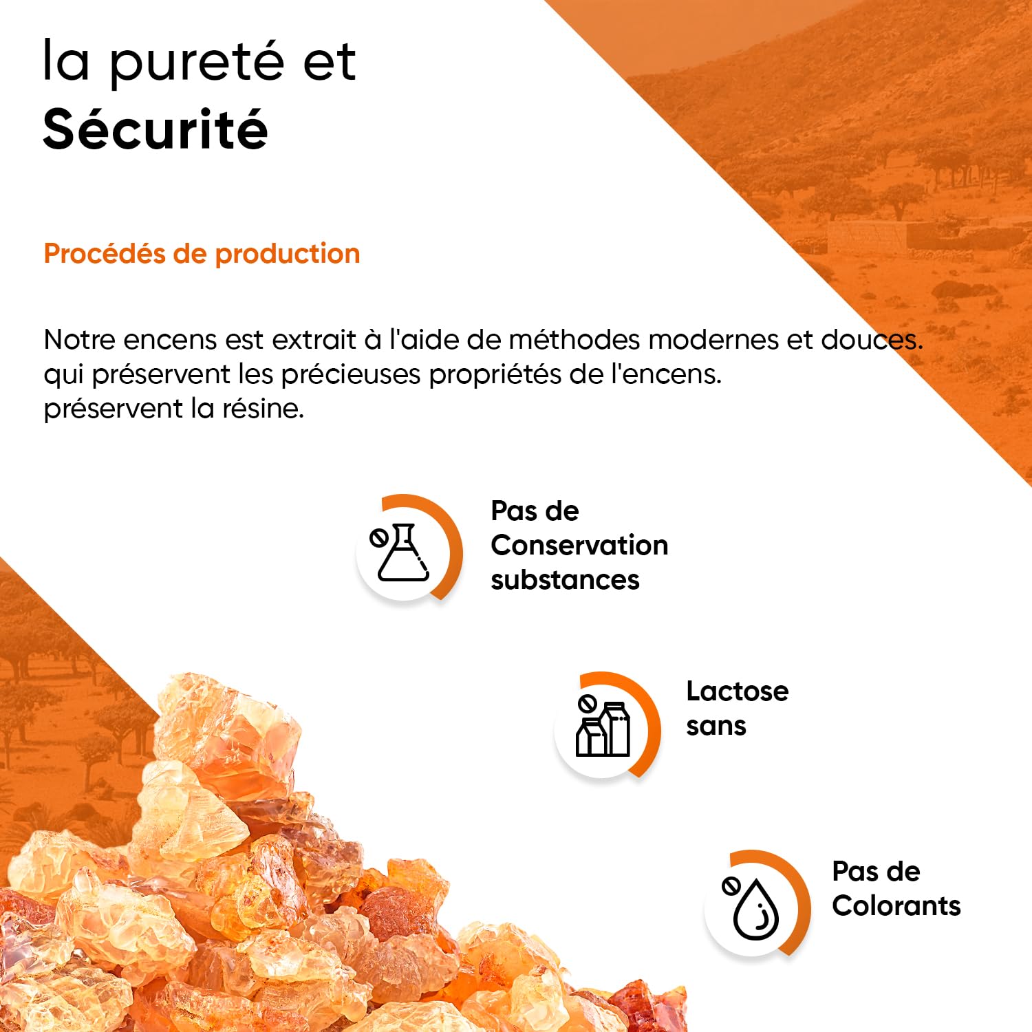 Boswellia Serrata 9400 mg 10 :1, 365 gélules, Pour 6 Mois, y compris le pilulier, 85% D'acide Boswellia, végétalien, qualité premium, testé en laboratoire, 100% de Boswelia Serrata Indien