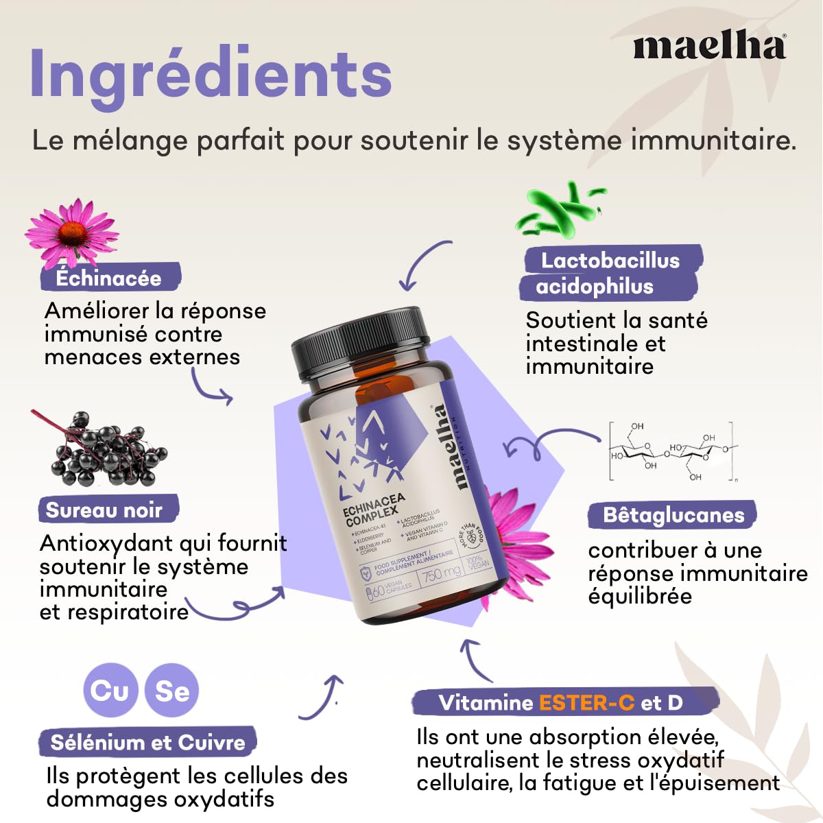 ÉCHINACÉE COMPLEX | Échinacée, ESTER-C, Bêta-glucanes, Sureau, Vitamine D, Sélénium, Cuivre, Lactobacillus acidophilus | Système immunitaire | 60 Gélules végétales | Formule 100% VEGAN