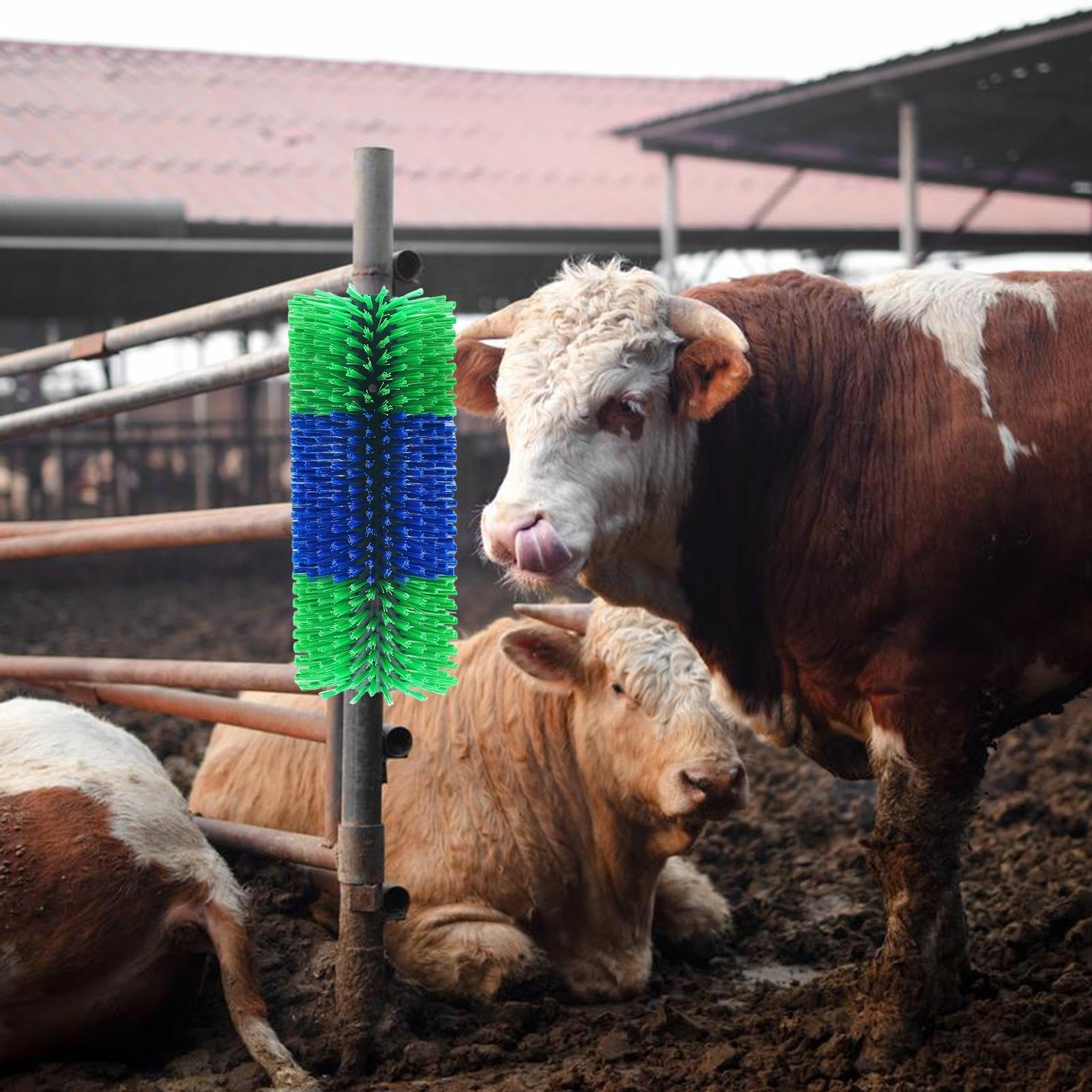 Scratcher per, spazzola per graffi per Spazzola antigraffio per bestiame | Spazzola per la pulizia della degli animali da fattoria con doppia vite