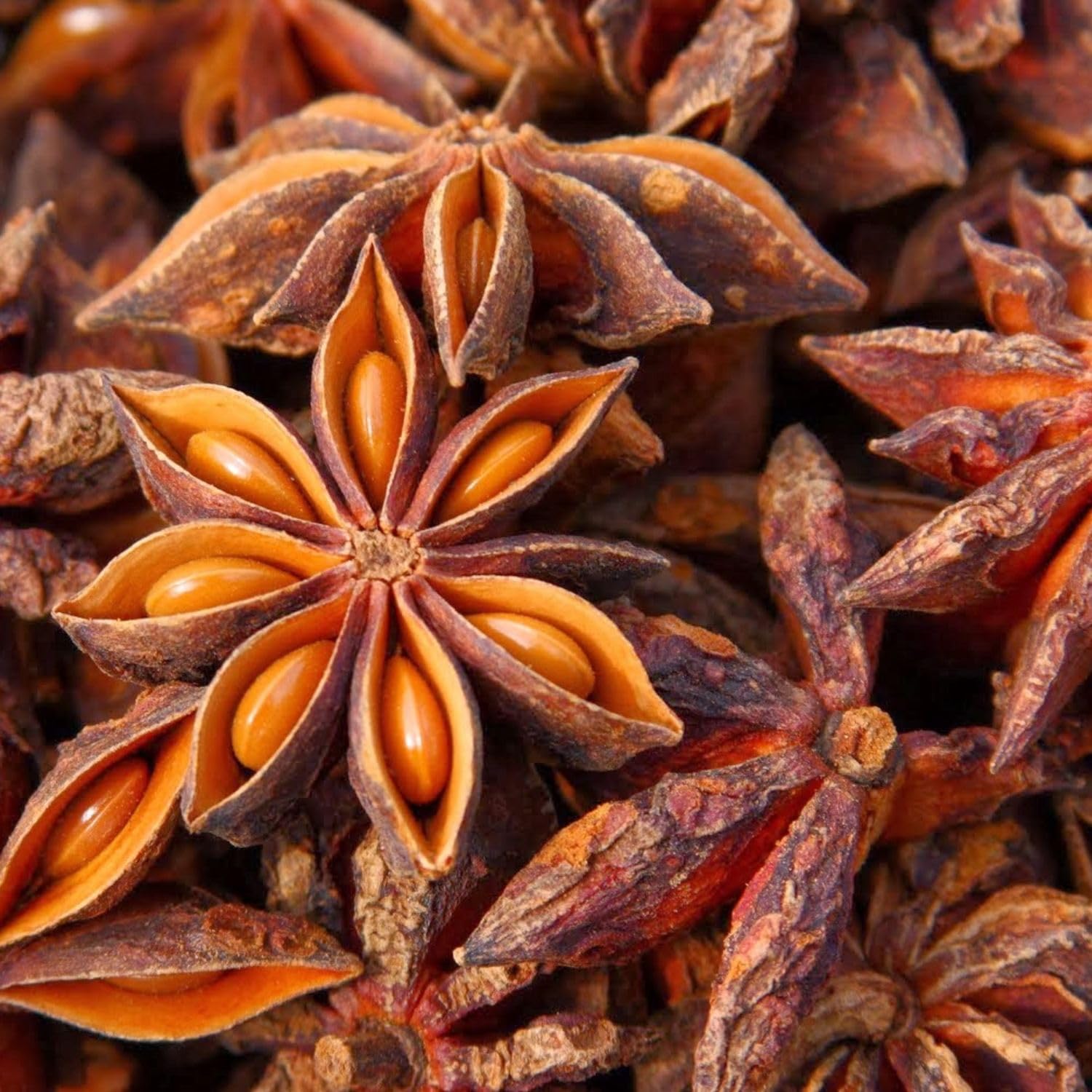 Bongiovanni Bontà Naturali Anice Stellato Intero 500g | Spezia Premium Essiccata per Infusi, Dolci e Liquori | Aroma Intenso e Naturale, Ideale per Cucina e Decorazioni | Qualità Superiore