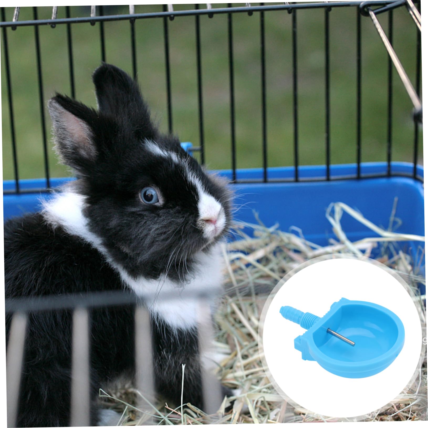 Happyyami 5Pcs Automatic Rabbit Drinker Durable Water Feeding Bowl for Mammals Easy to Clean Efficient Water Saver for Rabbits and Other Livestock Blue