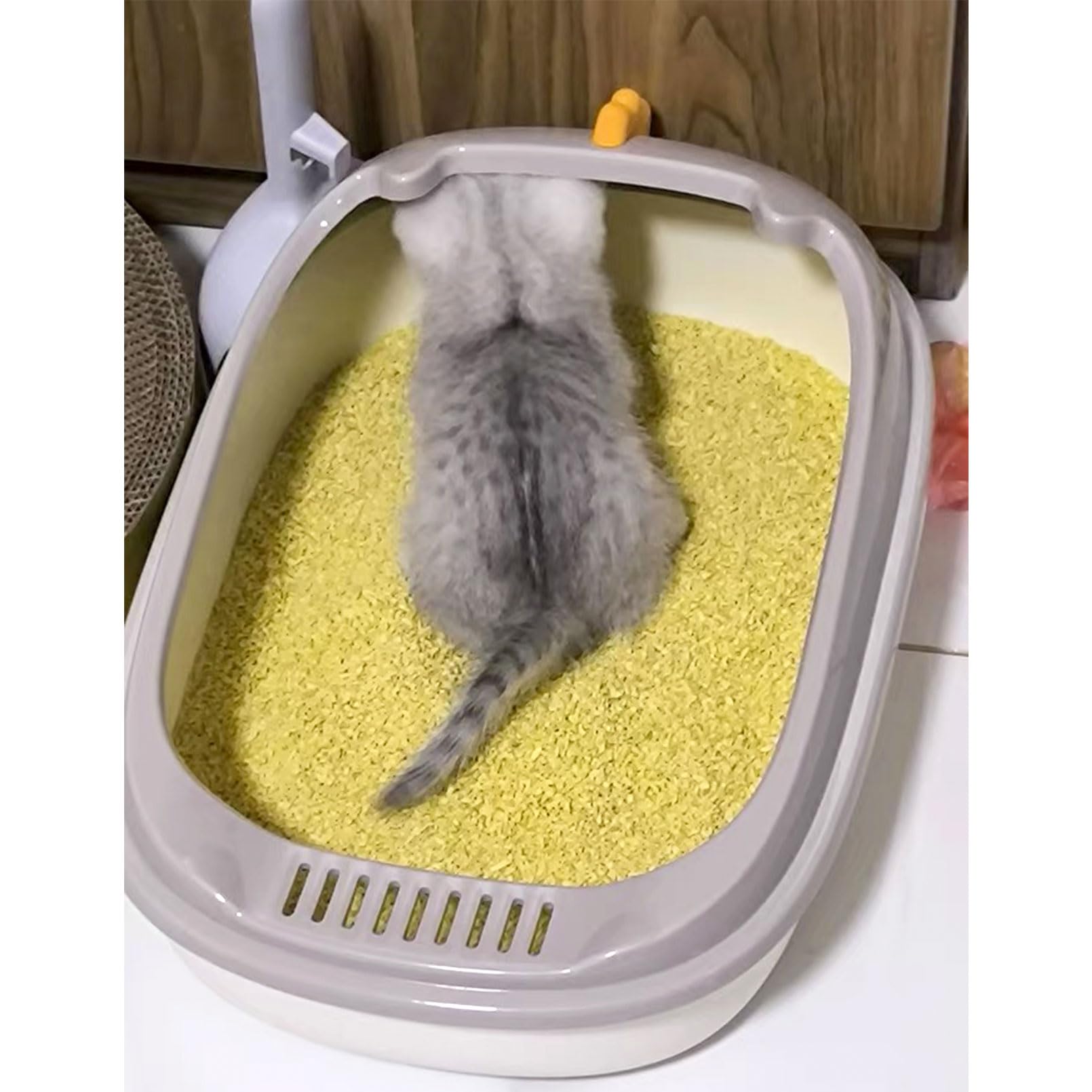 Open Litter Box, Anti-Splashing Cat Toilet with Litter Sifting Scoop - Semi-Enclosed, Removable Kitten Litter Box (White, Small)