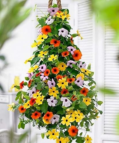 Miniatura 2 de 25 paquetes de semillas de flores tradicionales para plantar: más de 20 variedades de semillas de flores - Forget Me Not, girasol, caléndula, zinnia
