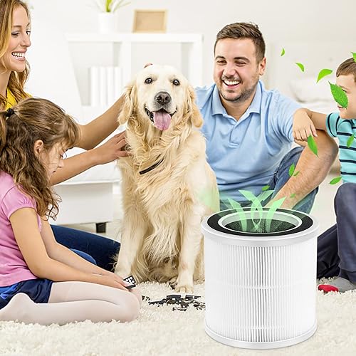 Miniatura 7 de Paquete de 2 filtros de repuesto HEPA solo compatibles con purificador de aire Proton Purter, sistema de filtración de 3 pasos, filtro de aire