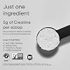 Sports Research Creatina Monohidratada - Gana Músculo Magro, Mejora el Rendimiento y la Fuerza y Apoya la Recuperación del Entrenamiento - 5 g de Creatina Micronizada - 10.58 oz 2