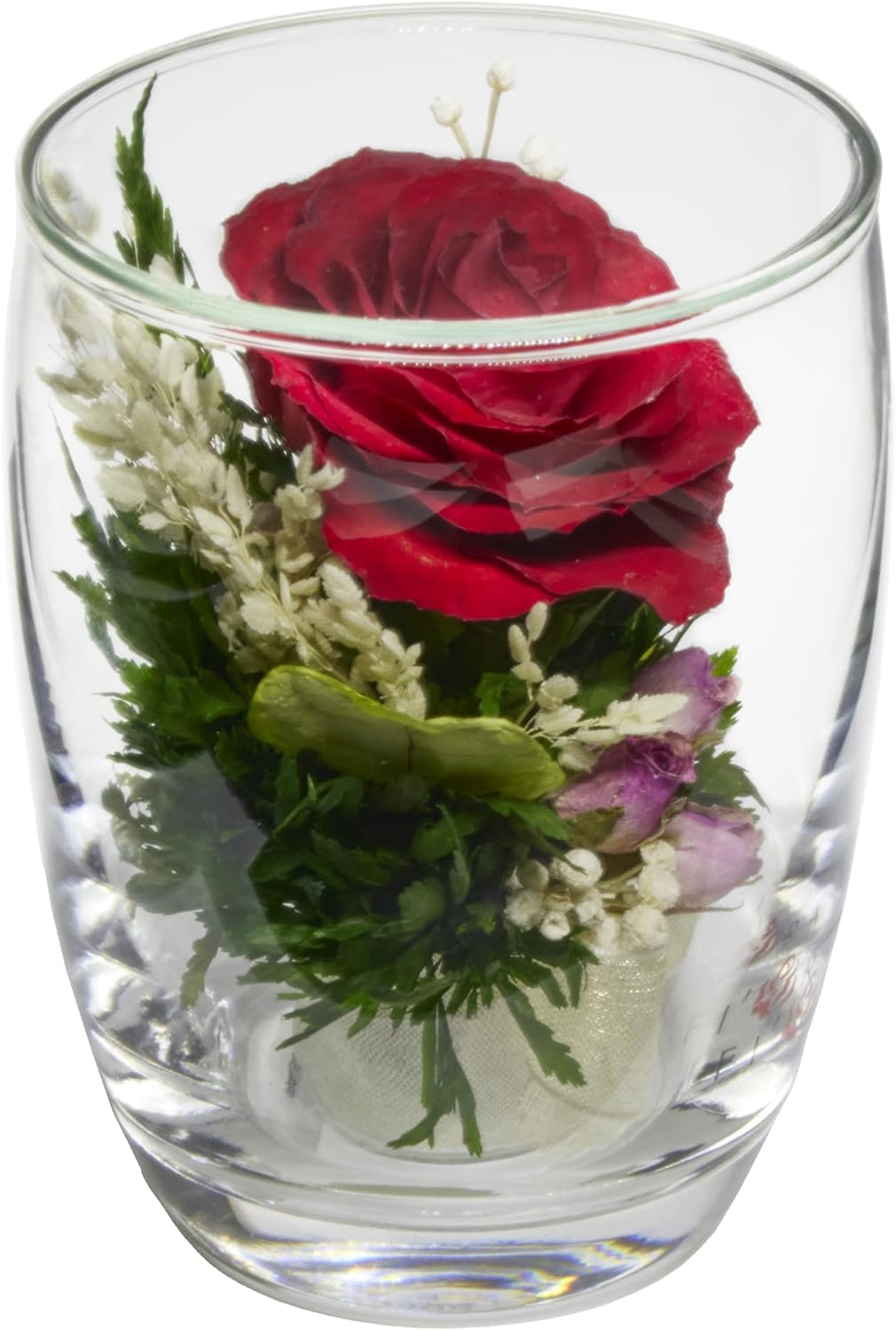 Fiora Flower | Long Lasting Real Roses in a Sealed Vase | Lasts up to 5 Years | Unique Present Gift