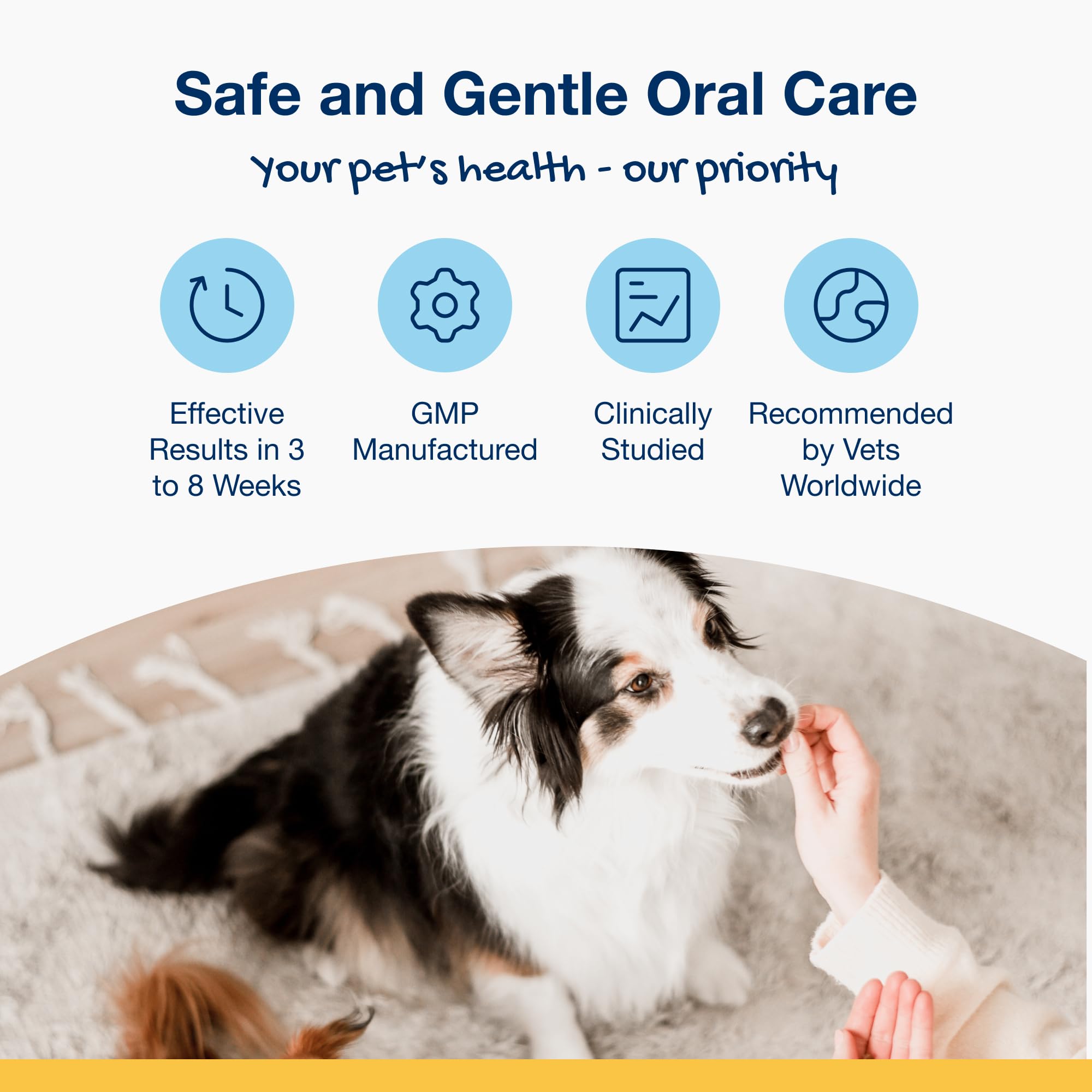 ProDen PlaqueOff Scoopables - Hickory Smoked Bacon Flavor Dental Bites for Small Dogs, Natural Kelp for Plaque & Tartar Control, Freshens Breath - Small & Medium Breed Dental Care- 45 Scoops - image 3