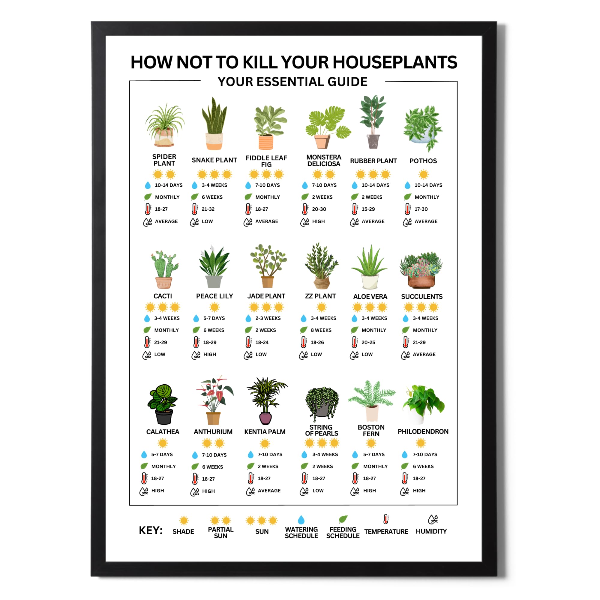 State Media Vision Houseplants Essential Care Poster - Sunlight, Watering, Temperature, Feeding, Humidity Info - Variety of Sizes (A4 Print Only)