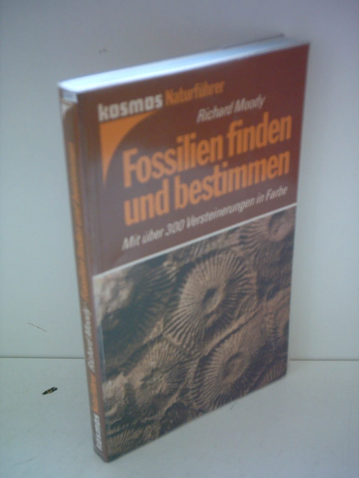 Fossilien finden und bestimmen