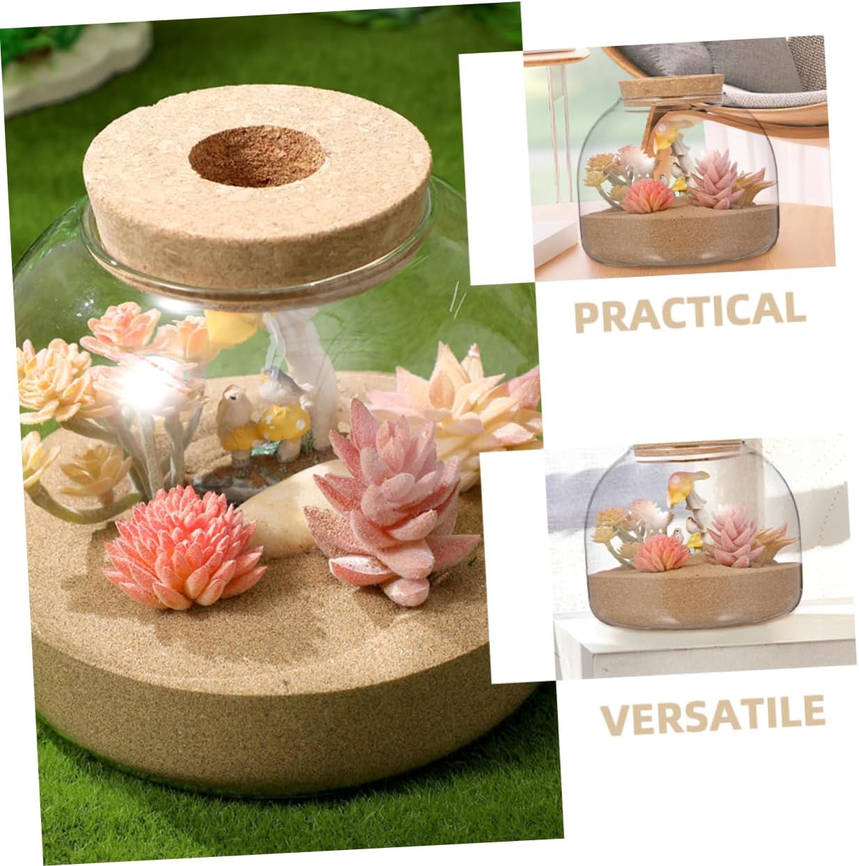 2Pcs Bottle with Stopper Micro Landscape Terrarium Jar for Home Decor Plant Display and Betta Fish Transparent Canister for Indoor Use