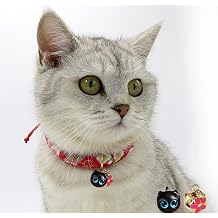 Breakaway Cat Collar with Bell,Floral Pattern,Japanese Chirimen Kimono Kitten Collars,with Removable Wood Pendant Adjustable Kitty Safety Collars,2 Parts in One Set Red