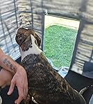 Review Image by Brandon Brandon