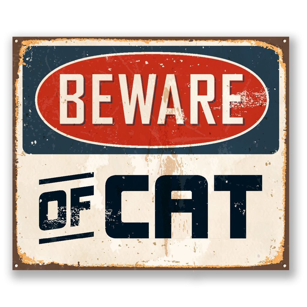 Destinationvinyl 2 X 15Cm/150Mm Beware Of Cat Window Cling Sticker Car Van Campervan Glass #5111