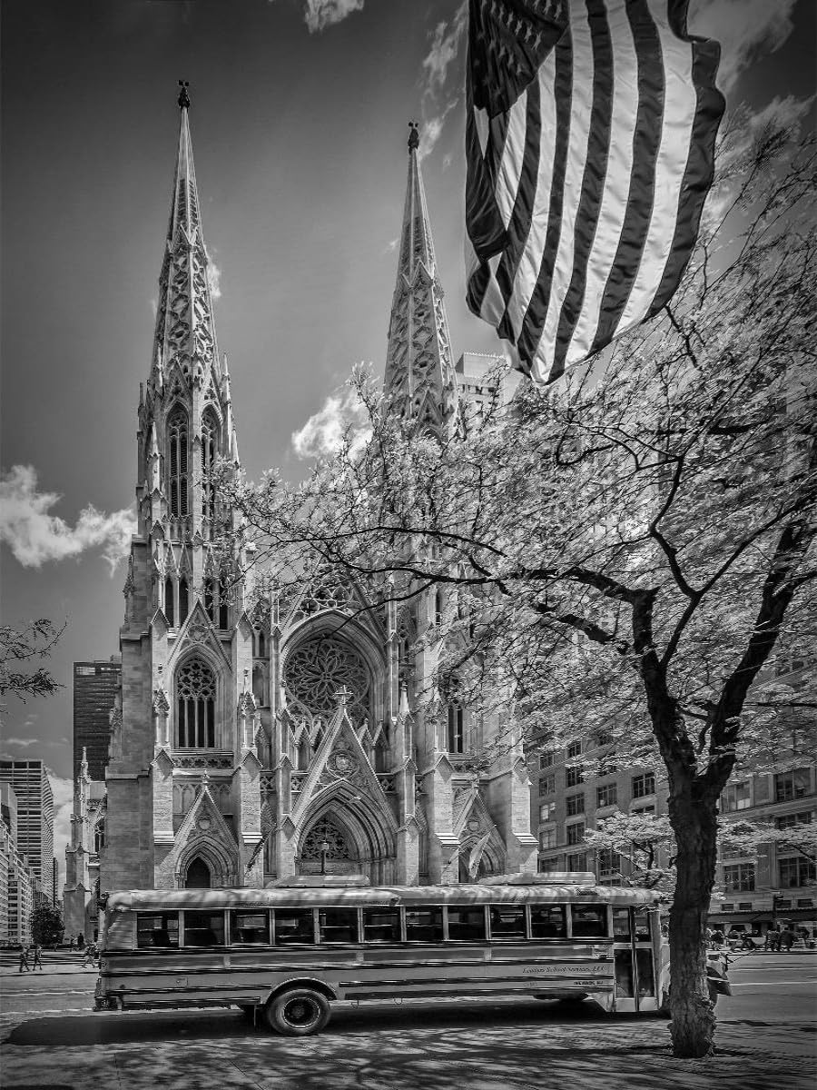 CALVENDO Puzzle New York City St. Patrick's Cathedral 1000 Teile Puzzle Hoch 1000 Pieces 48 x 64 cm from Melanie Viola